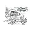 FIVE ECOSYSTEMS OF THE AMERICAS – by Francis Léveillée