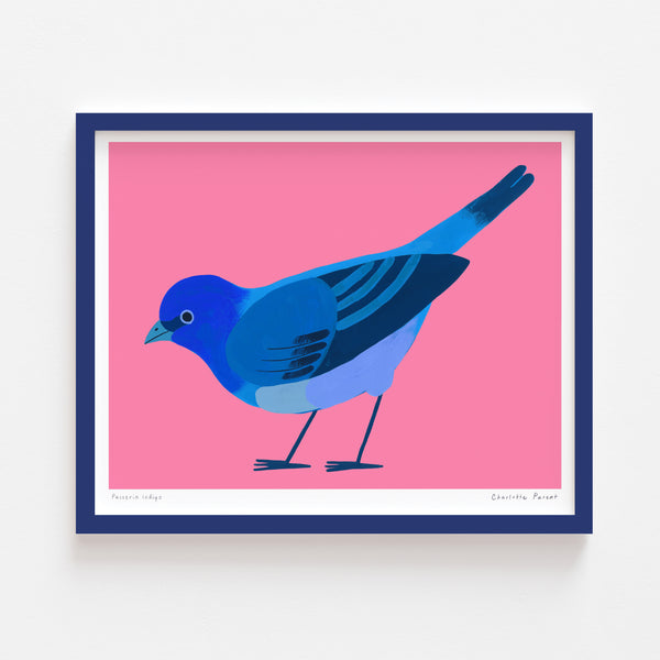 PASSERIN INDIGO, 8" x 10" — by Charlotte Parent