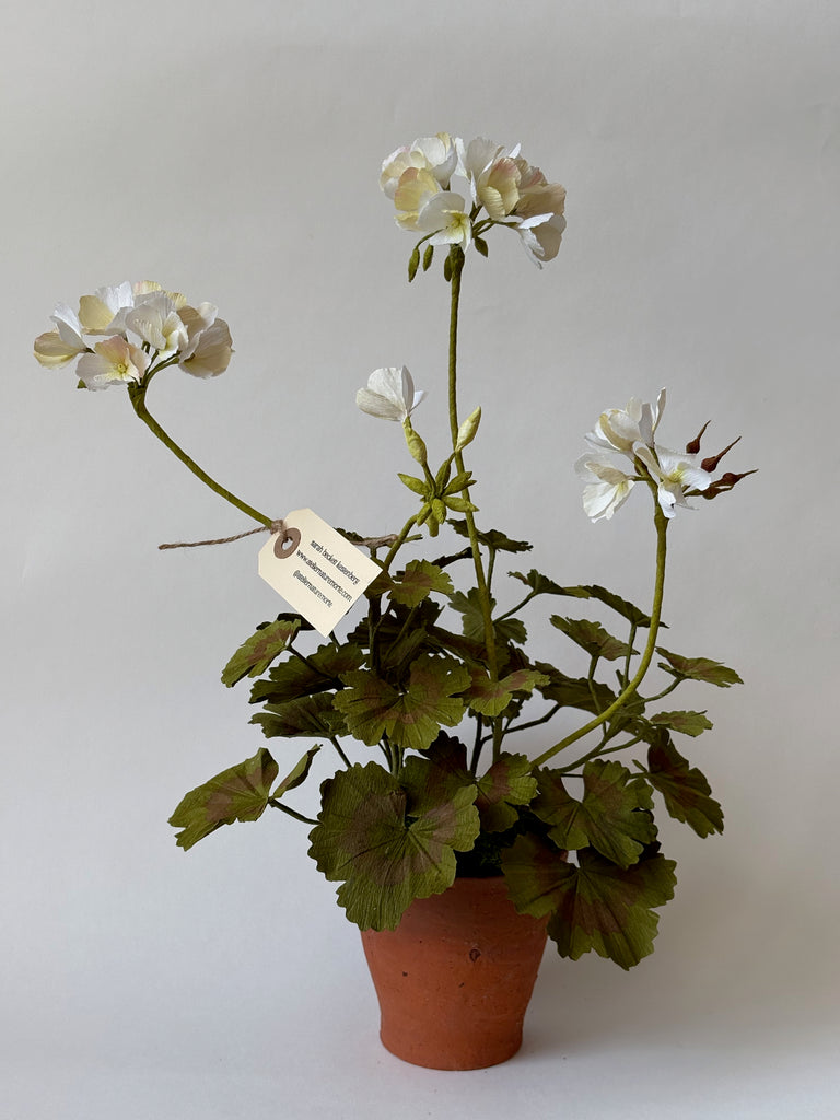 FLEURS DE PAPIER - Pélargonium blanche — par Atelier Nature Morte