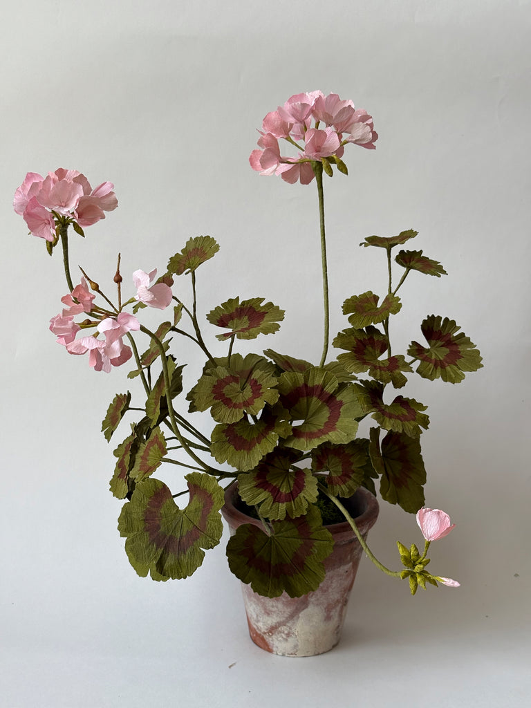 PAPER FLOWERS - Light Pink Pelargornium — by Atelier Nature Morte