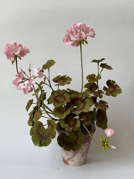FLEURS DE PAPIER - Pélargonium rose pâle — par Atelier Nature Morte