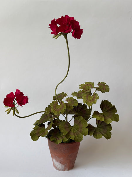 FLEURS DE PAPIER - Pélargonium rouge — par Atelier Nature Morte
