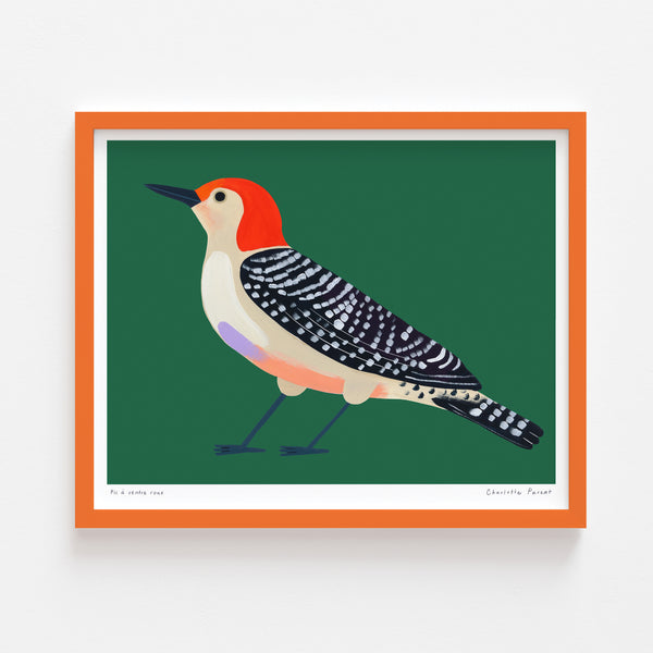 PIC À VENTRE ROUX, 8" x 10" — by Charlotte Parent