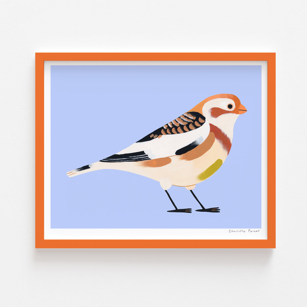 PLECTROPHANE DES NEIGES, 8" x 10" — par Charlotte Parent