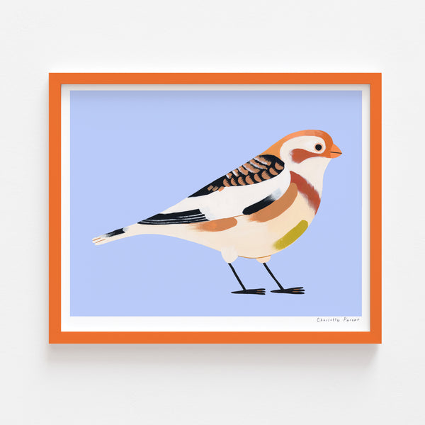 PLECTROPHANE DES NEIGES, 8" x 10" — by Charlotte Parent