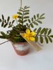 PAPER FLOWERS - Potentilla Anserina — by Atelier Nature Morte