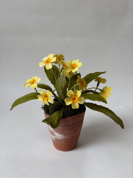 PAPER FLOWERS - Primula vulgaris — by Atelier Nature Morte
