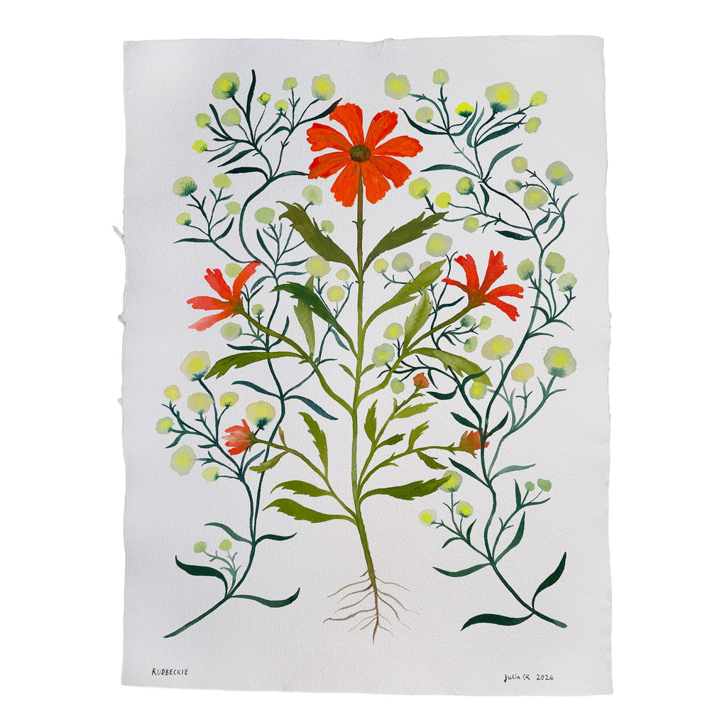 RUDBECKIE (Original Painting) – 29.63 × 39.13 — by Julia GR
