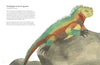 THE COLORFUL WORLD OF REPTILES — par Matt Sewell
