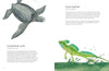 THE COLORFUL WORLD OF REPTILES — par Matt Sewell