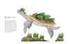 THE COLORFUL WORLD OF REPTILES — par Matt Sewell