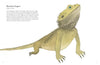 THE COLORFUL WORLD OF REPTILES — par Matt Sewell