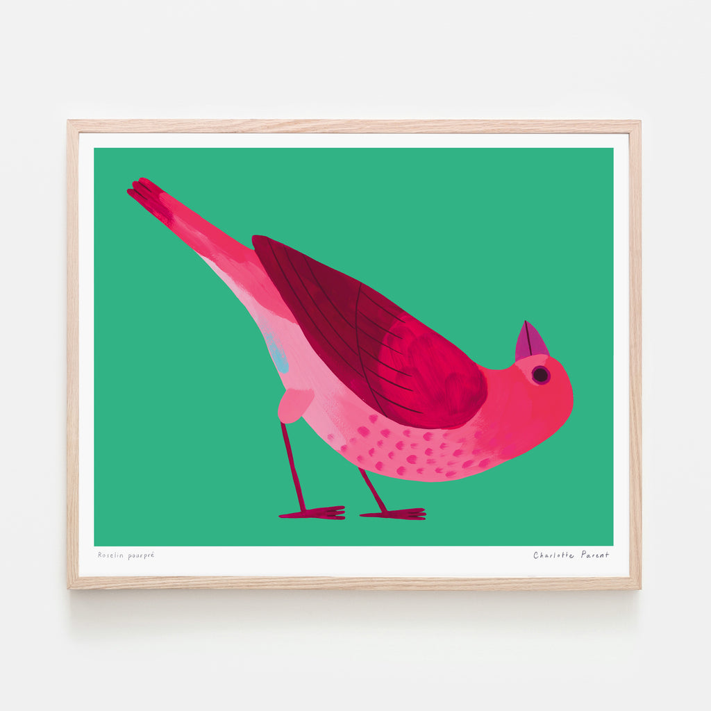 ROSELIN POURPRE, 8" x 10" — by Charlotte Parent