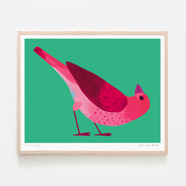 ROSELIN POURPRE, 8" x 10" — by Charlotte Parent