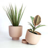 RUDY PLANT POT MEDIUM - Pink — by Josie Daisy