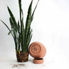 RUDY PLANT POT MEDIUM - Terra Cotta — by Josie Daisy