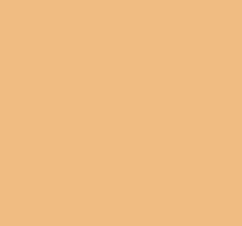 STABILO BOSS (multiple colors)