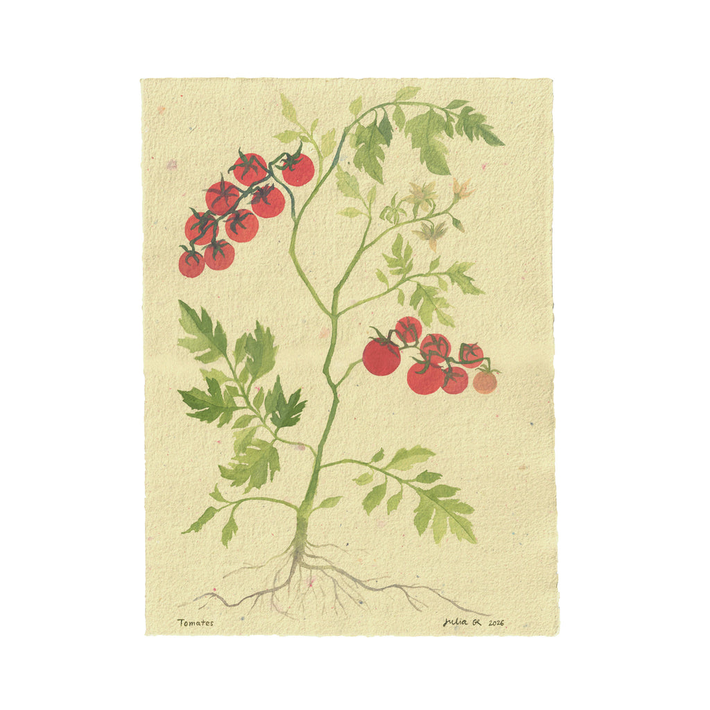 TOMATES (Original Painting) – 10.98 × 14.80 inches — by Julia GR