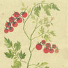 TOMATES (Original Painting) – 10.98 × 14.80 inches — by Julia GR