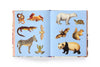EXTRAORDINARY THINGS STICKER BOOK — par  Maria Rivans