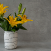 UTENSIL HOLDER — by Gréta Céramiste