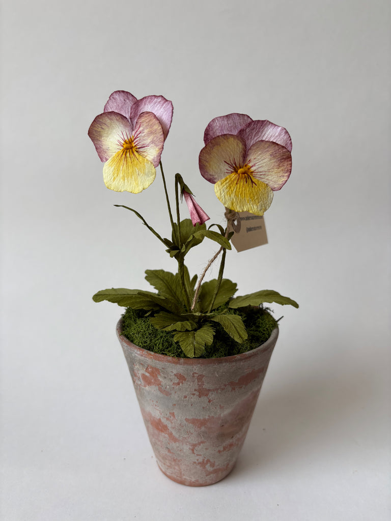 PAPER FLOWERS - Purple Viola — by Atelier Nature Morte