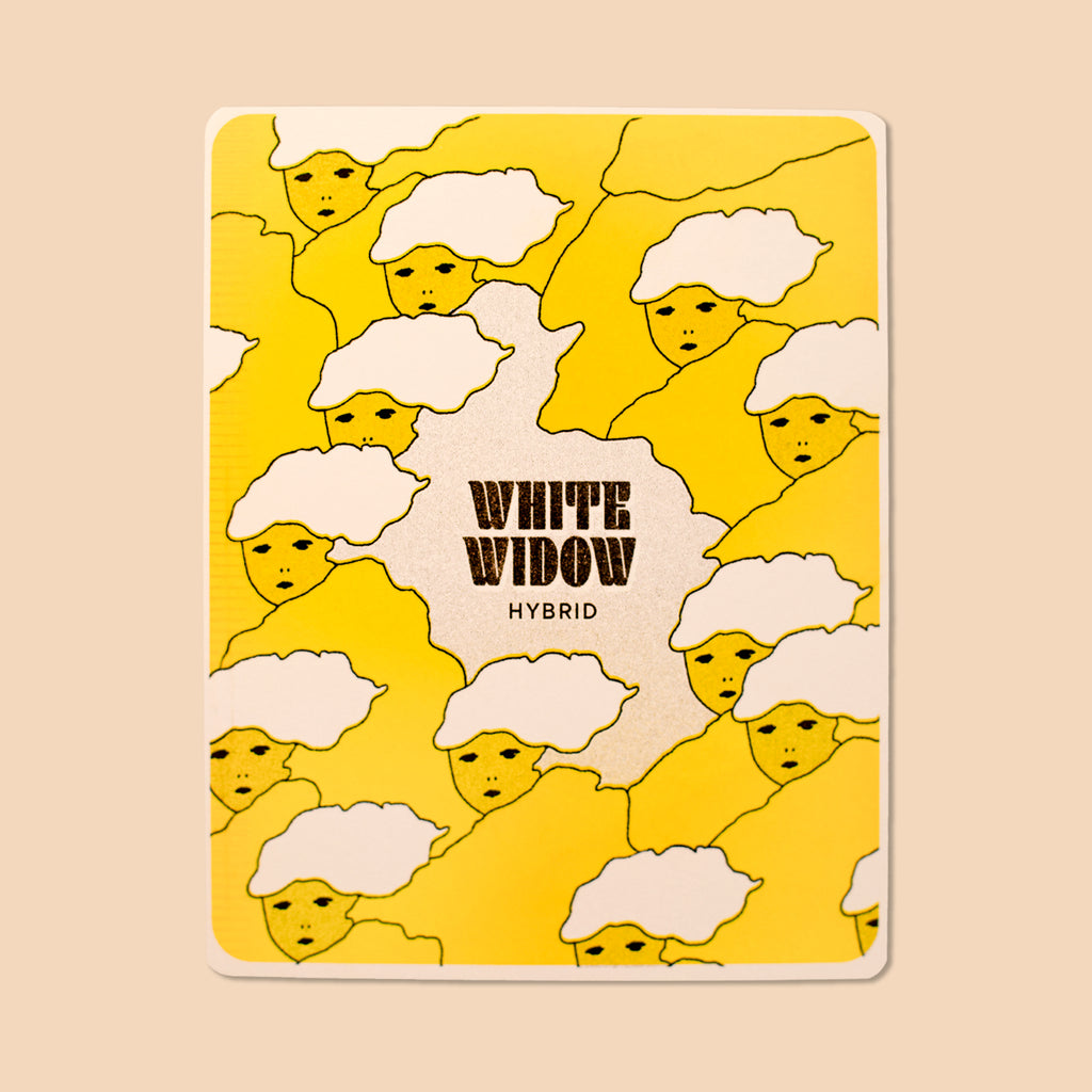 WHITE WIDOW, 5” X 6.5” — par Aless MC