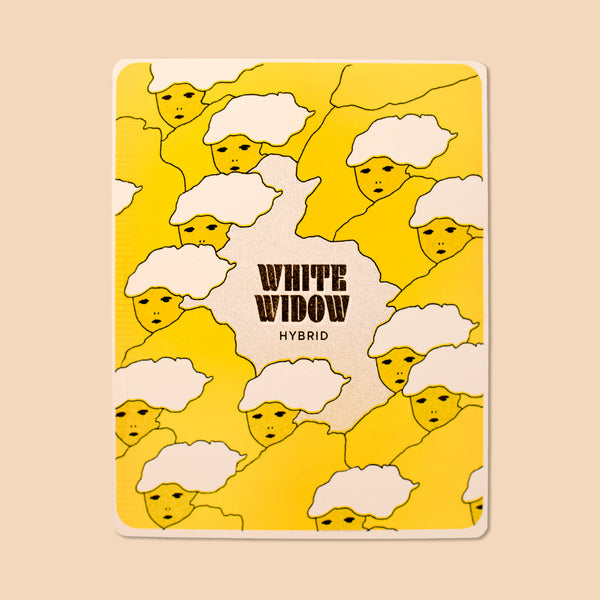 WHITE WIDOW, 5” X 6.5”  — by Aless MC