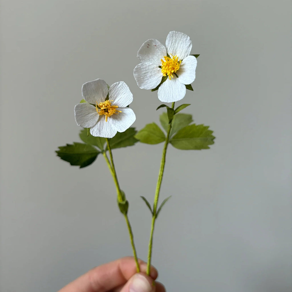 PAPER FLOWER, CRAFT KIT - Wild Strawberry — by Atelier Nature Morte