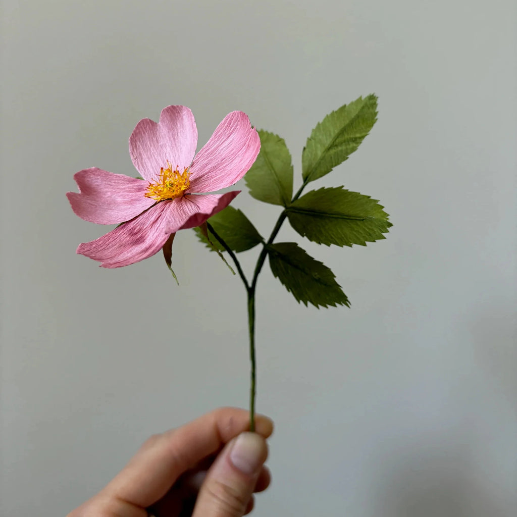 PAPER FLOWER, CRAFT KIT - Wood Rose — by Atelier Nature Morte