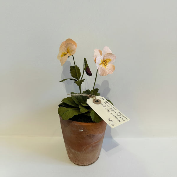 FLEURS DE PAPIER - Violette pêche — par Atelier Nature Morte