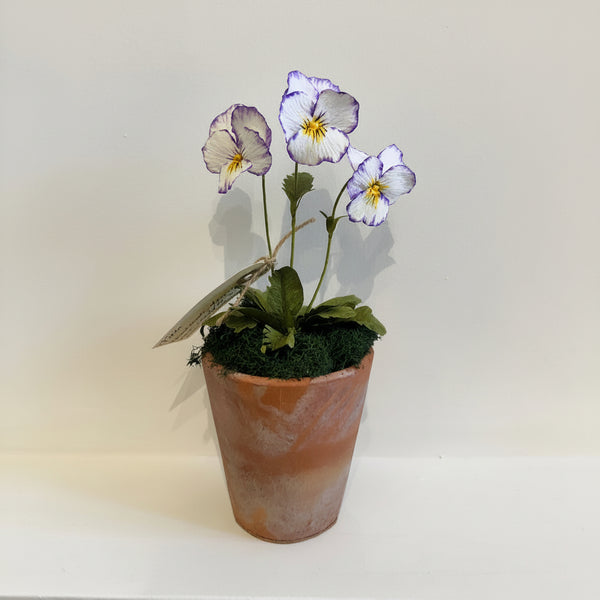 FLEURS DE PAPIER - Violette blanche et violette — par Atelier Nature Morte
