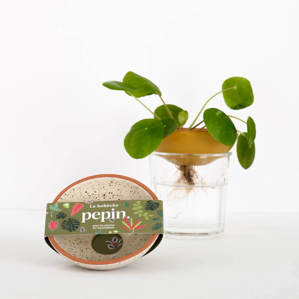 LA BOBÈCHE, Cutting - Speckled White — by Pepin