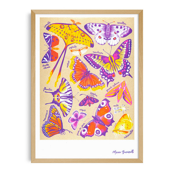 PAPILLONS, 29,7 x 42 cm — par Manon Bucciarelli