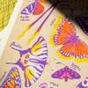 BUTTERFLIES, 29,7 x 42 cm — by Manon Bucciarelli