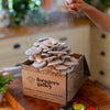 GROW-AT-HOME MUSHROOM KIT, Blue Oyster — by Foragers Galley