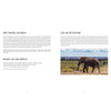 EVERYDAY PLAY: A Campaign Against Boredom — by Julian Rothenstein and Andrey Kurkov