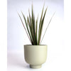 RUDY PLANT POT MEDIUM - Green — by Josie Daisy