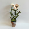 A potted artificial flower arrangement featuring three cream-colored zinnia-like blossoms with pink speckles, dark brown centers, and green leaves, set in a small rustic pot against a plain light gray background.