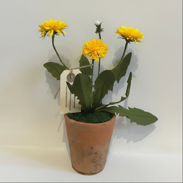 A small potted yellow dandelion arrangement in a terracotta-colored pot with green leaves and a hanging tag, photographed against a plain light gray background.