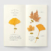 TRAVELER'S NOTEBOOK 025 CAHIER DE RECHARGE PAPIER CRÈME — par Traveler's Company