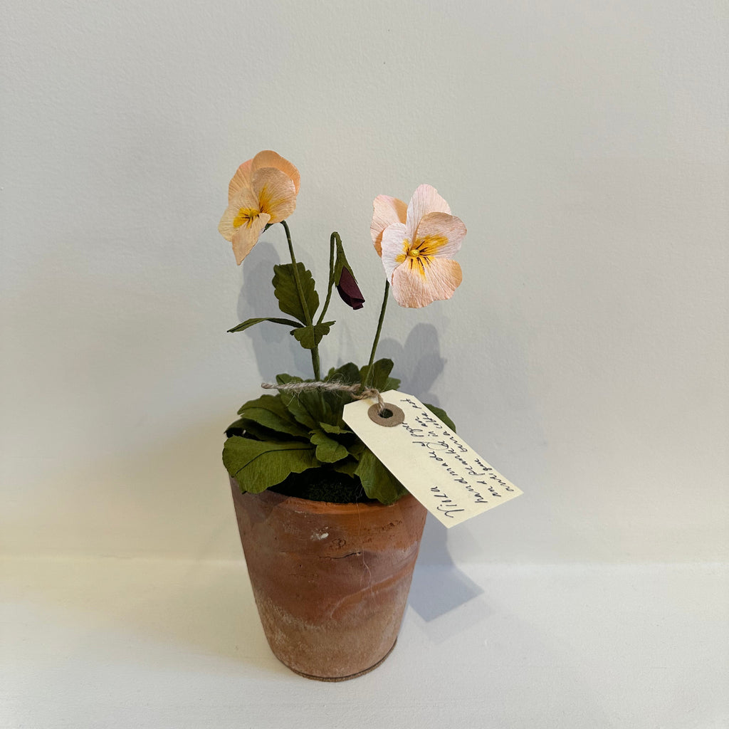 PAPER FLOWERS - Peach Viola — by Atelier Nature Morte